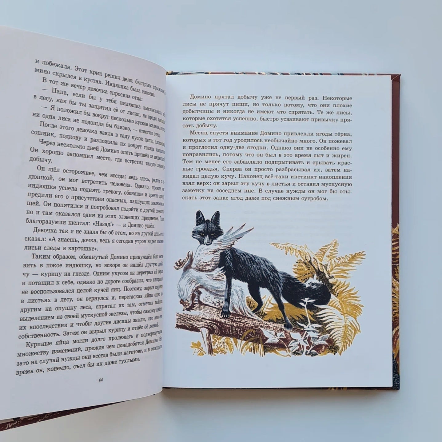 Рассказы о животных