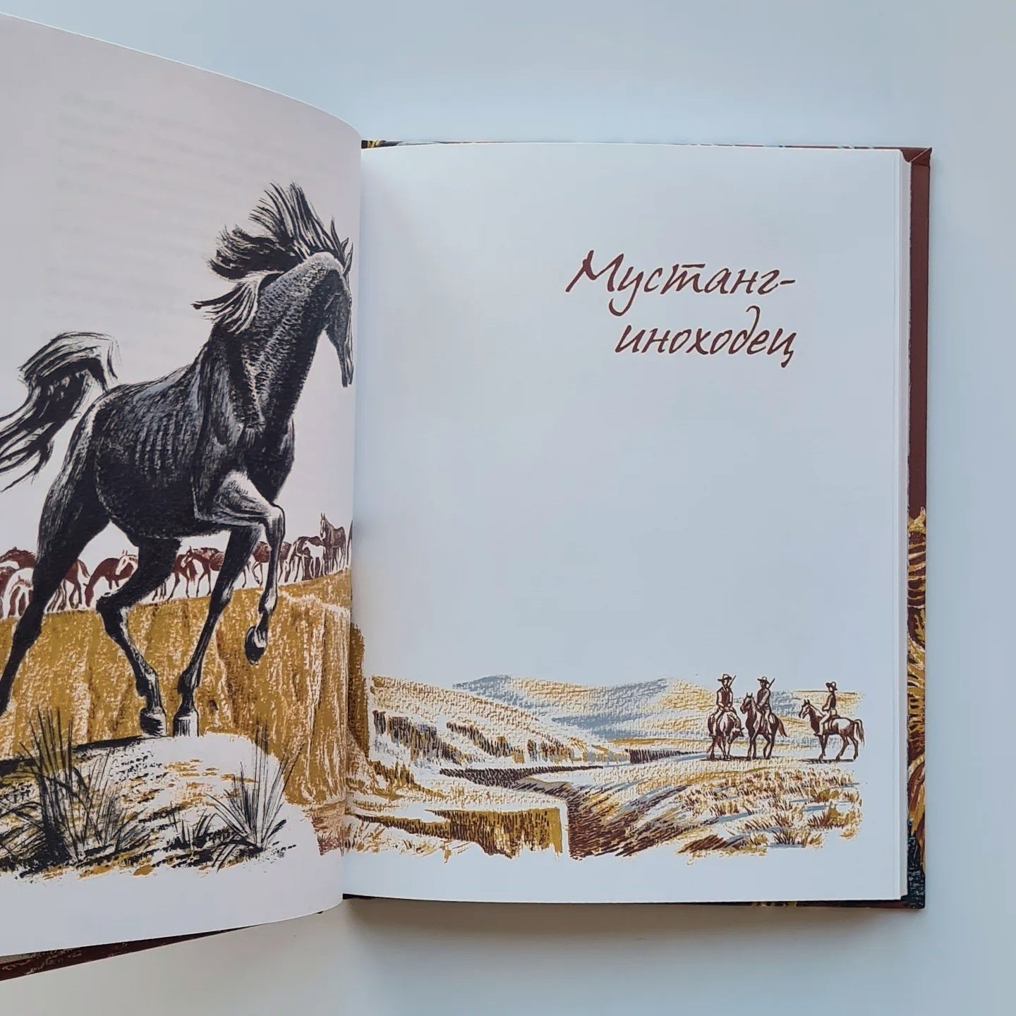 Рассказы о животных