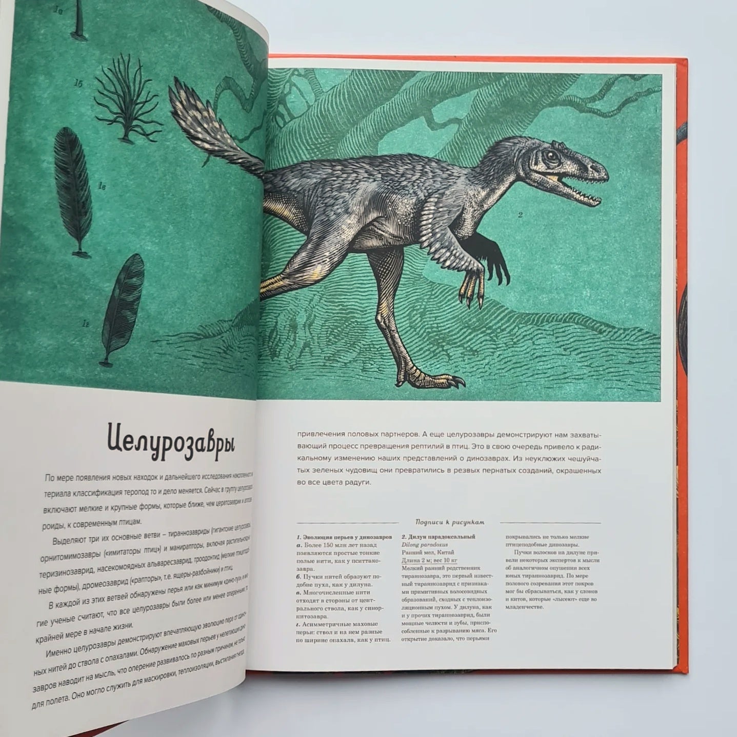 Динозавриум