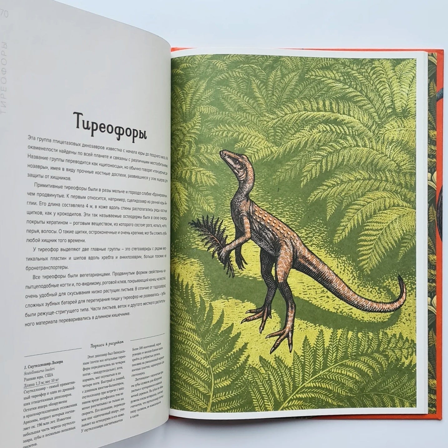 Dinosaurium (external defect)