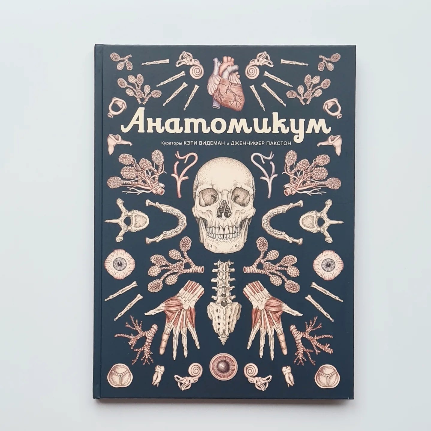 Анатомикум