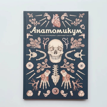 Анатомикум