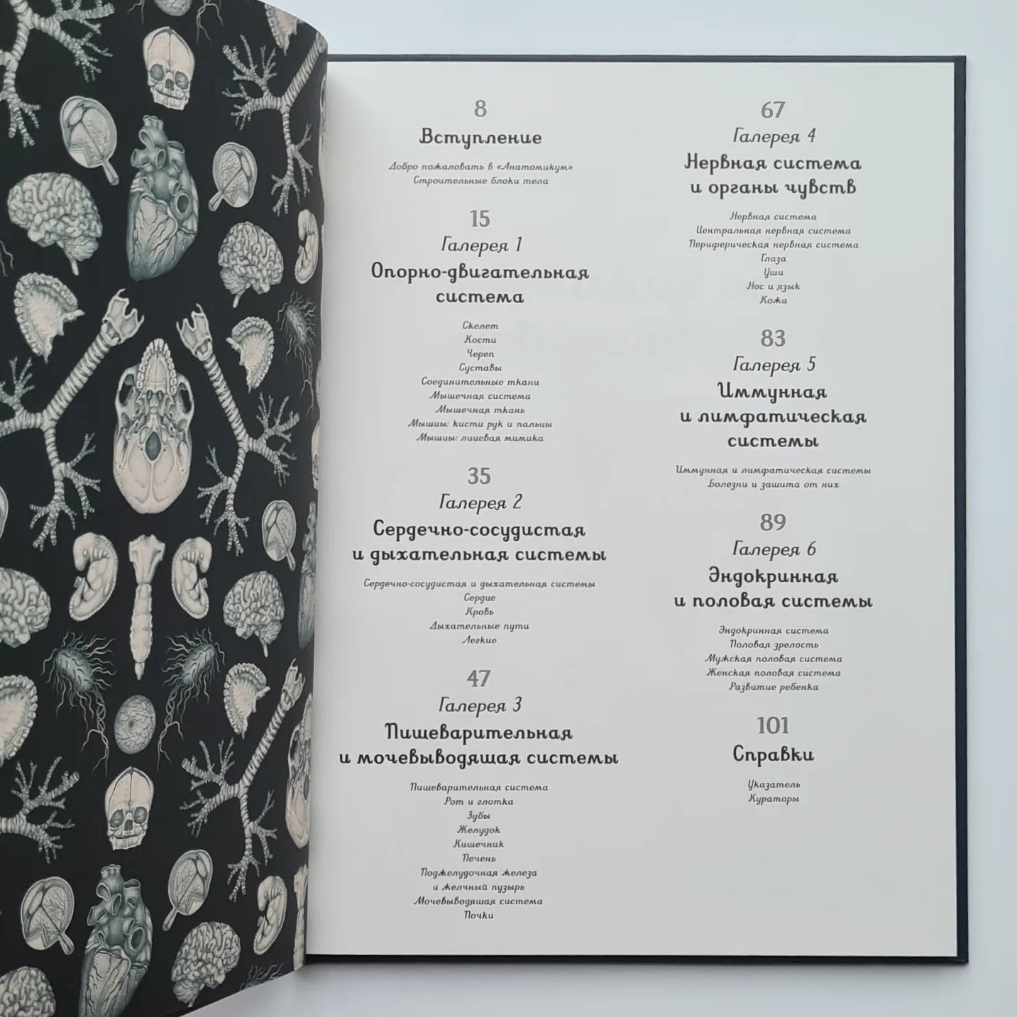 Анатомикум