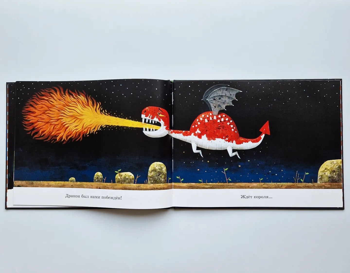 Where is the dragon?