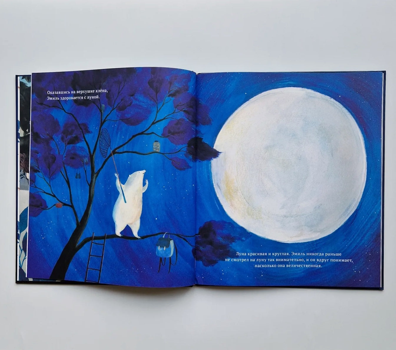 Хранитель луны