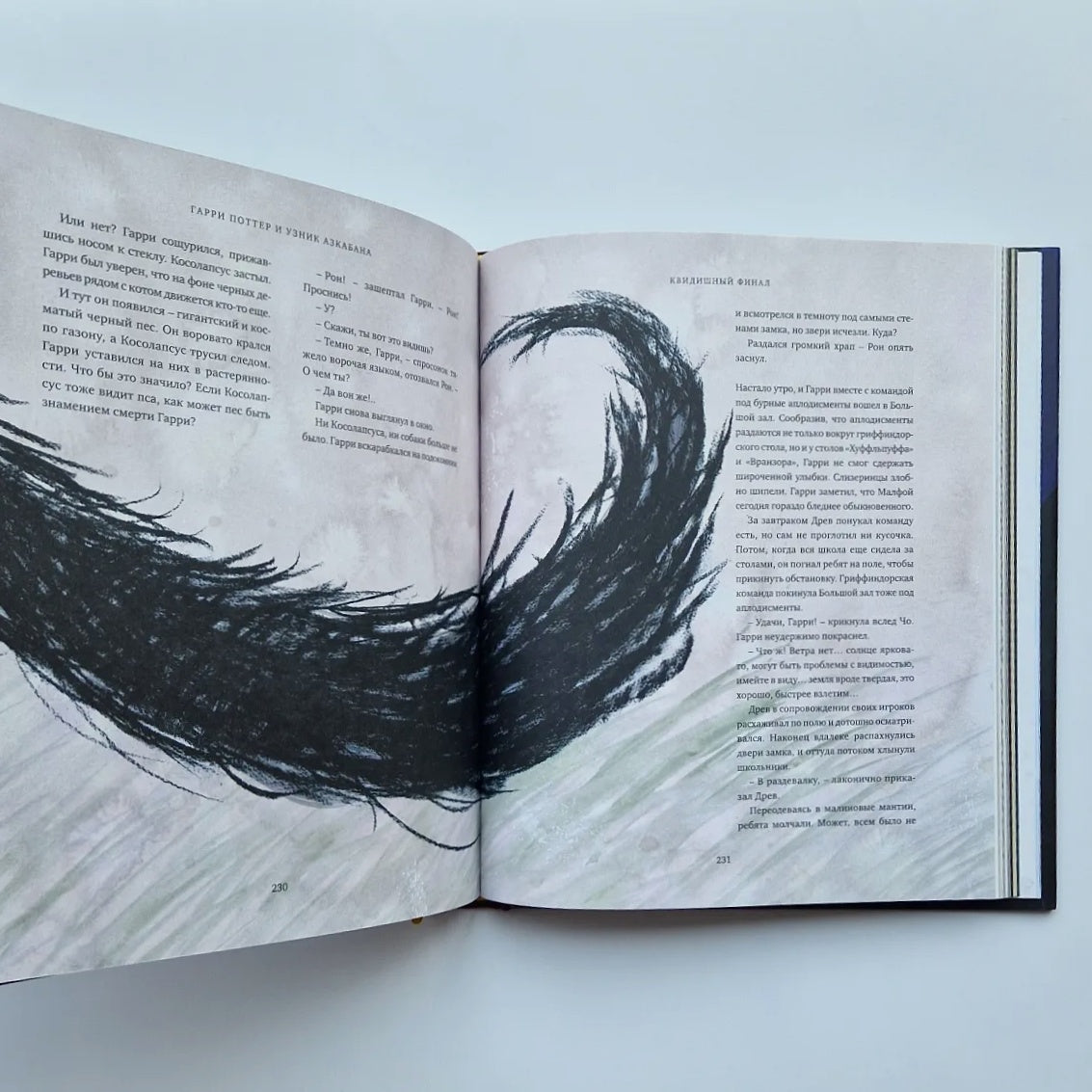 Гарри Поттер и узник Азкабана (с цветными иллюстрациями)