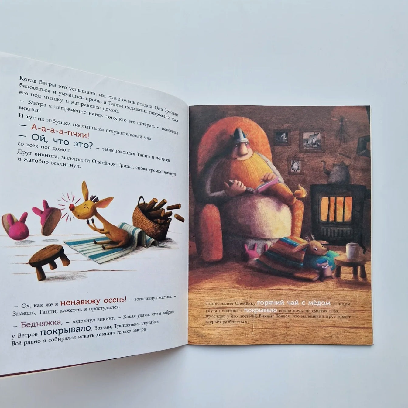 Viking Tappy and the Magic Blanket