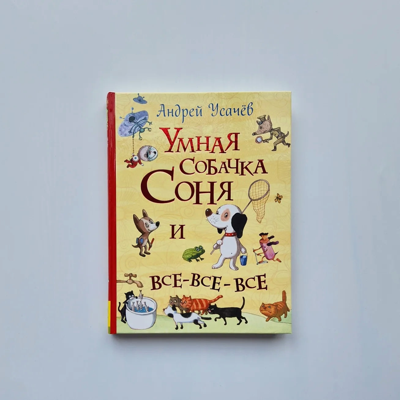 Smart dog Sonya and all-all-all 