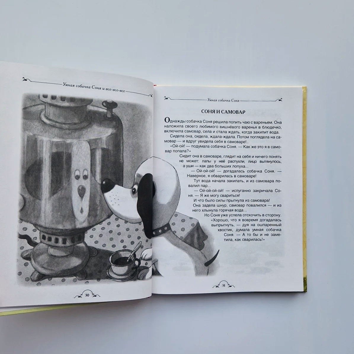 Smart dog Sonya and all-all-all 