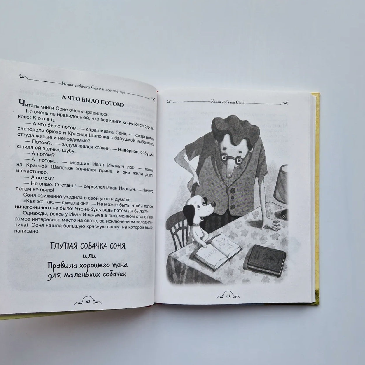 Smart dog Sonya and all-all-all 