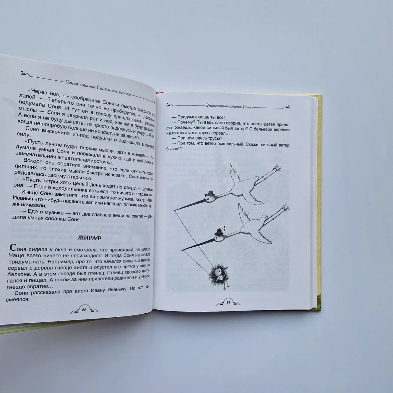 Smart dog Sonya and all-all-all 