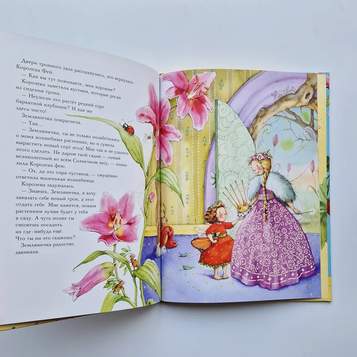 Strawberry Fairy. Magical Surprise in the Castle