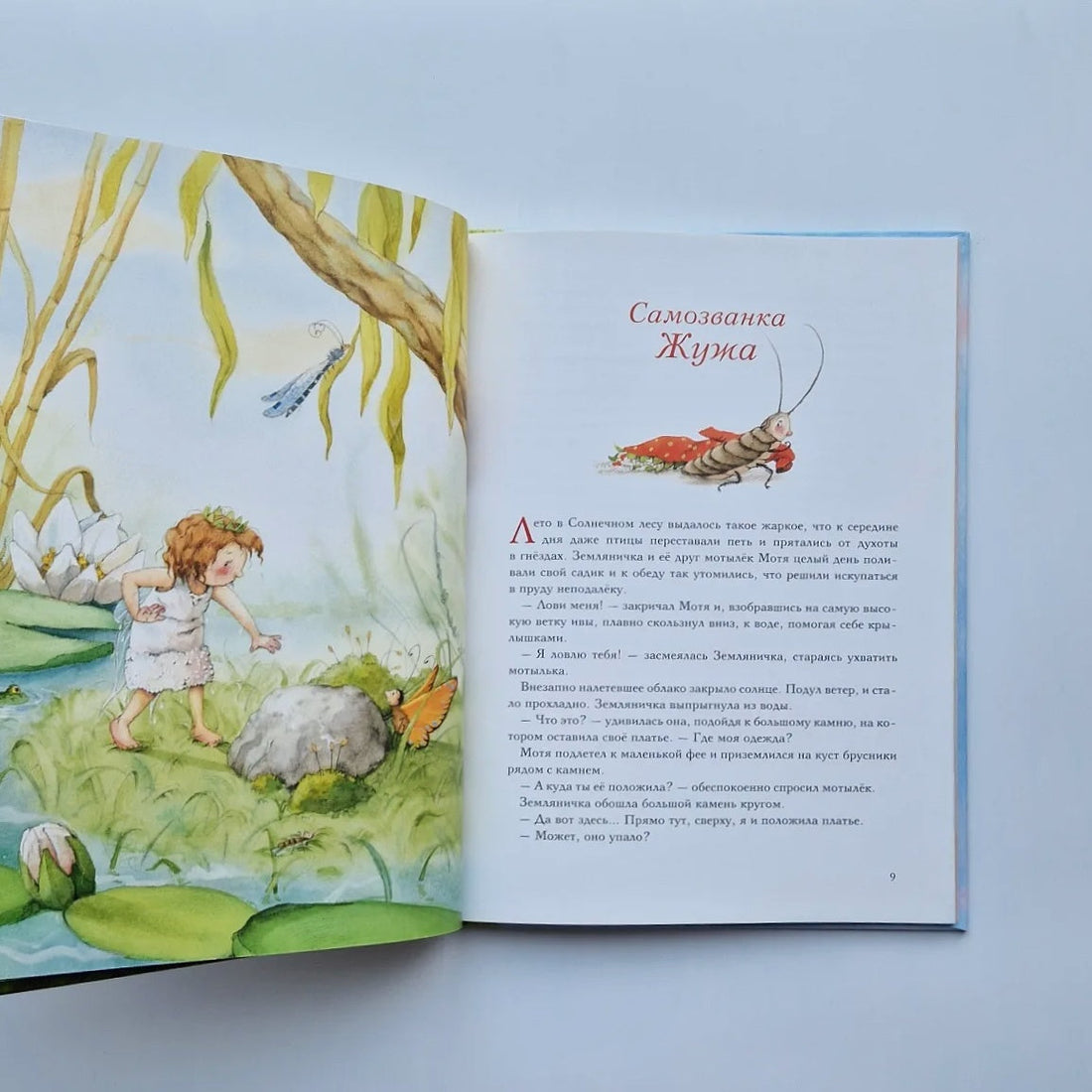 Strawberry Fairy. The Big Tea Party