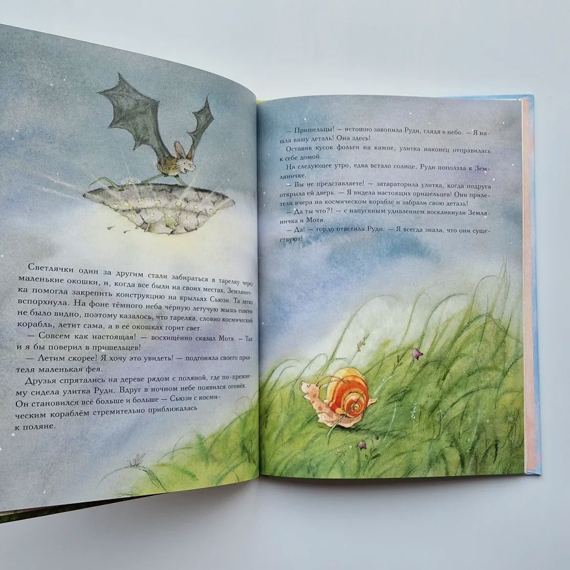 Strawberry Fairy. The Big Tea Party