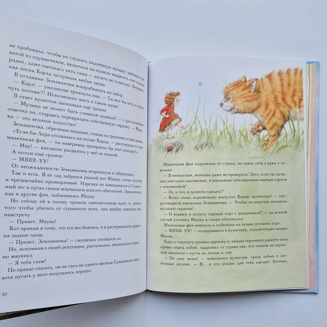 Strawberry Fairy. The Big Tea Party