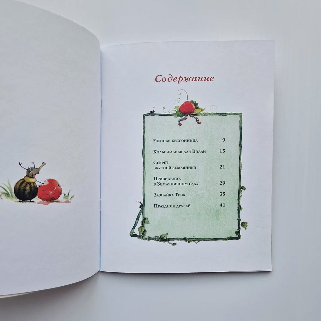 Земляничная фея. Праздник друзей