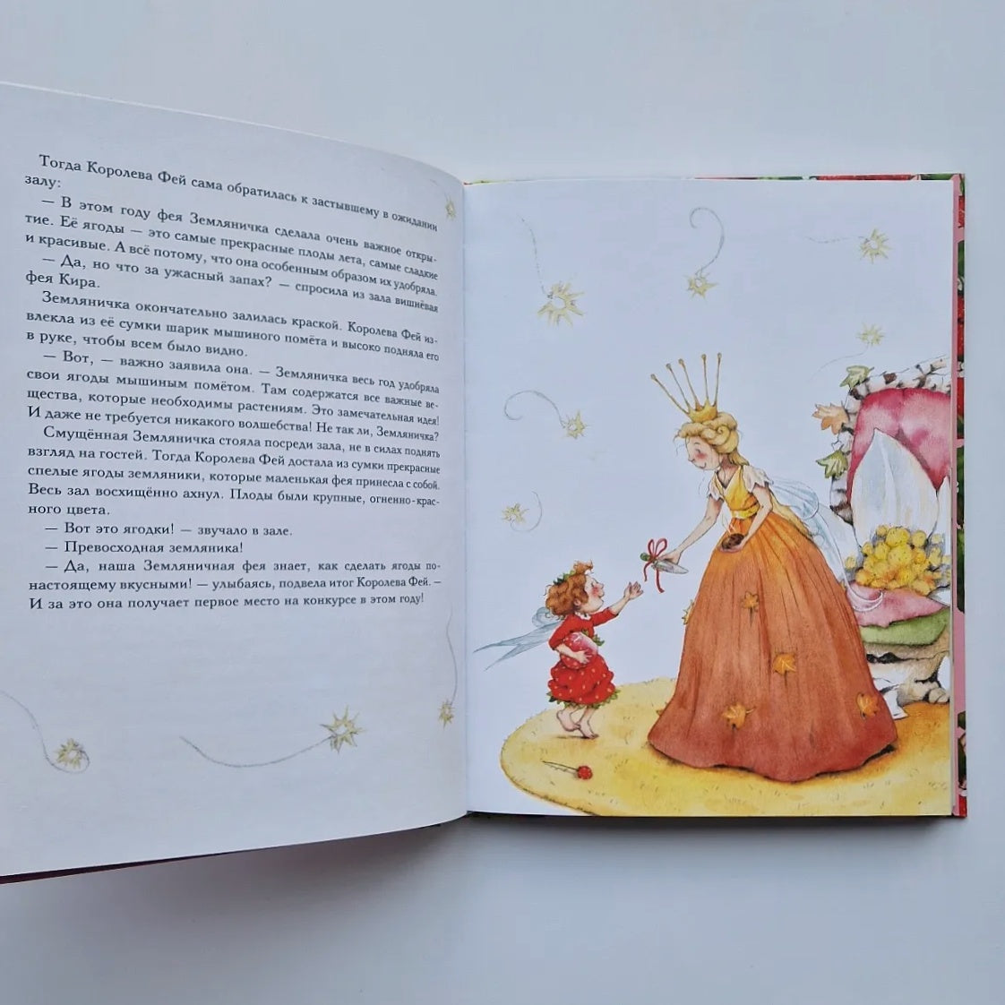 Strawberry Fairy. All year round in the Sunny Forest