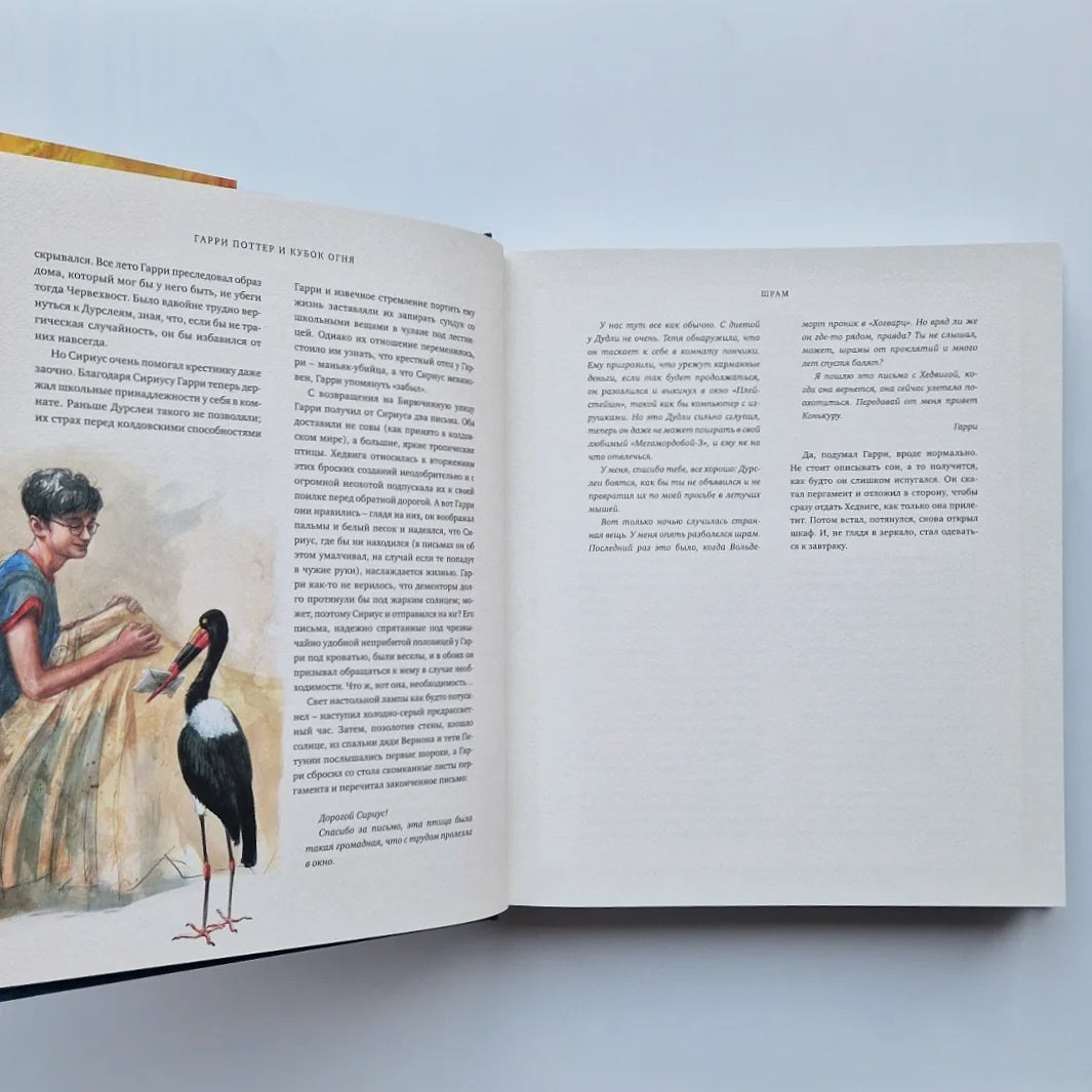 Гарри Поттер и Кубок Огня (с цветными иллюстрациями)