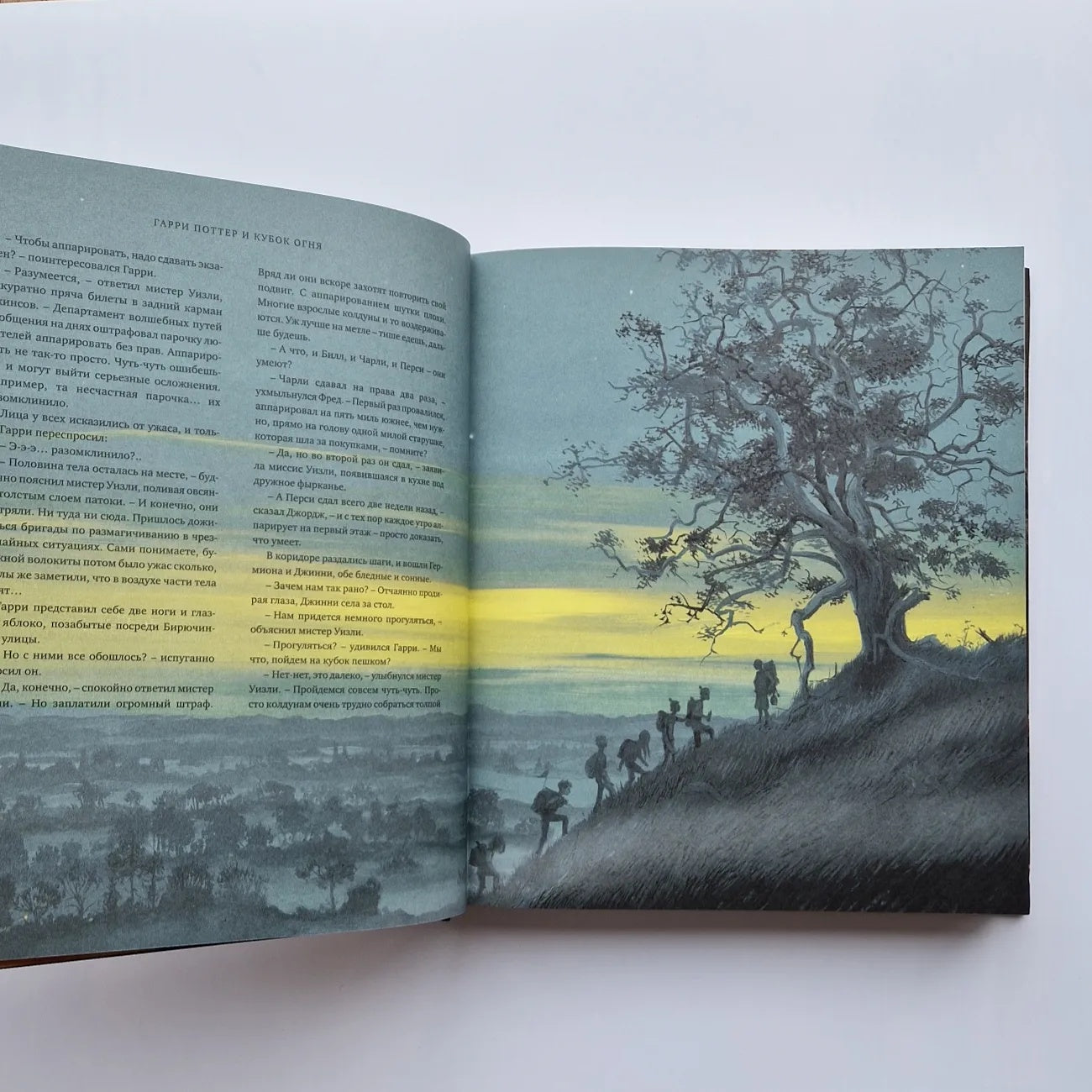 Гарри Поттер и Кубок Огня (с цветными иллюстрациями)
