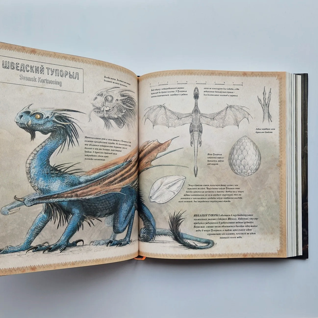 Гарри Поттер и Кубок Огня (с цветными иллюстрациями)