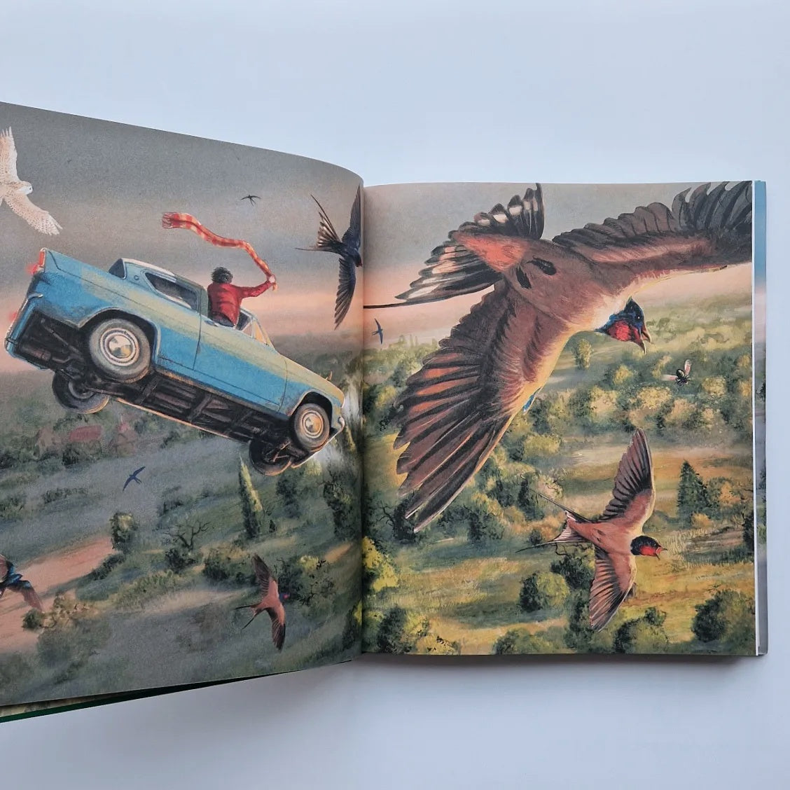 Гарри Поттер и Тайная комната (с цветными иллюстрациями)