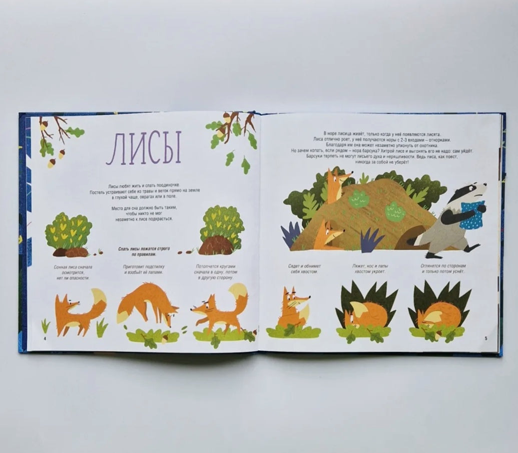 Как спят зверята?