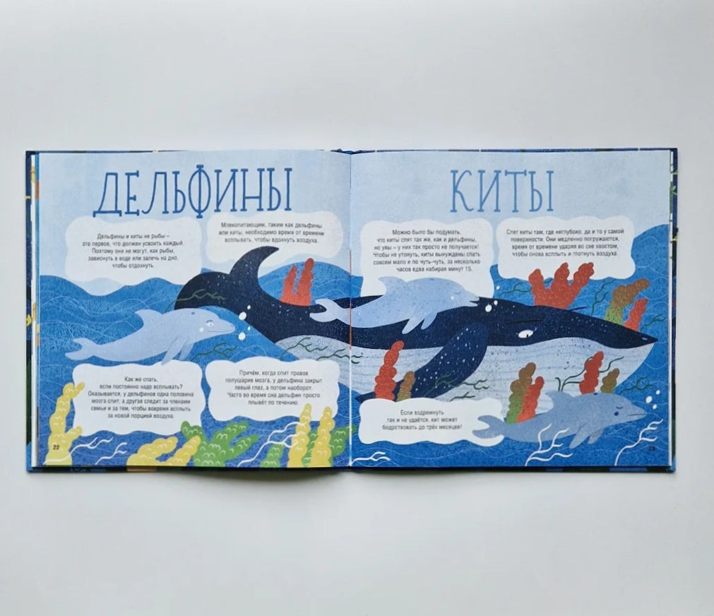 Как спят зверята?