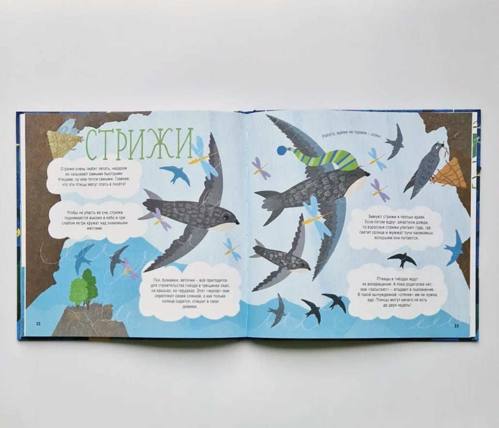 Как спят зверята?