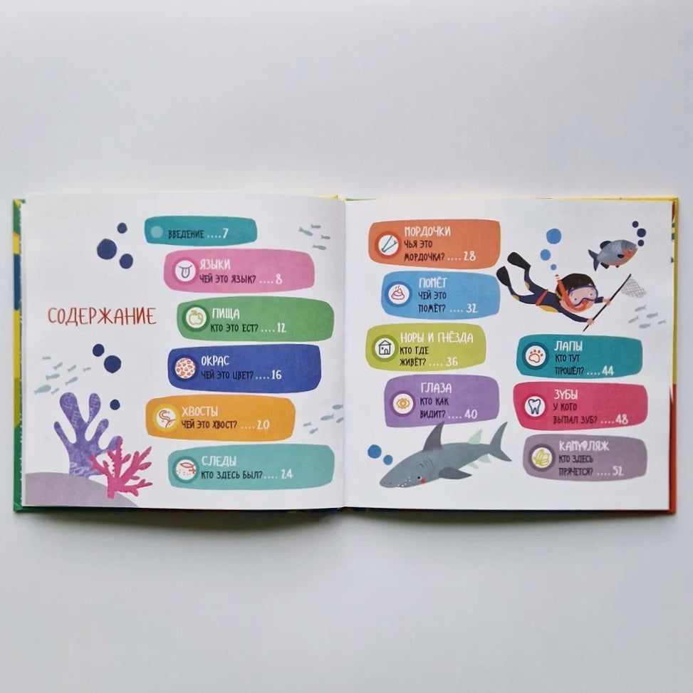 Чей это нос? Чей это хвост?