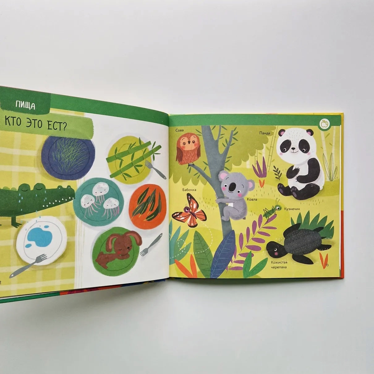 Чей это нос? Чей это хвост?