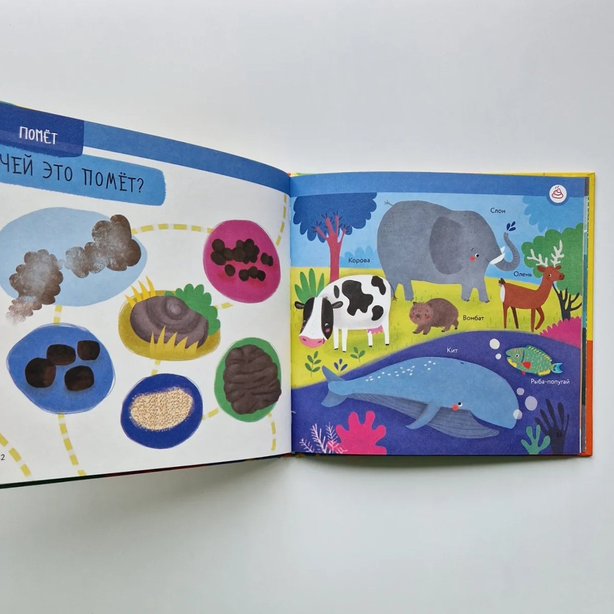 Чей это нос? Чей это хвост?