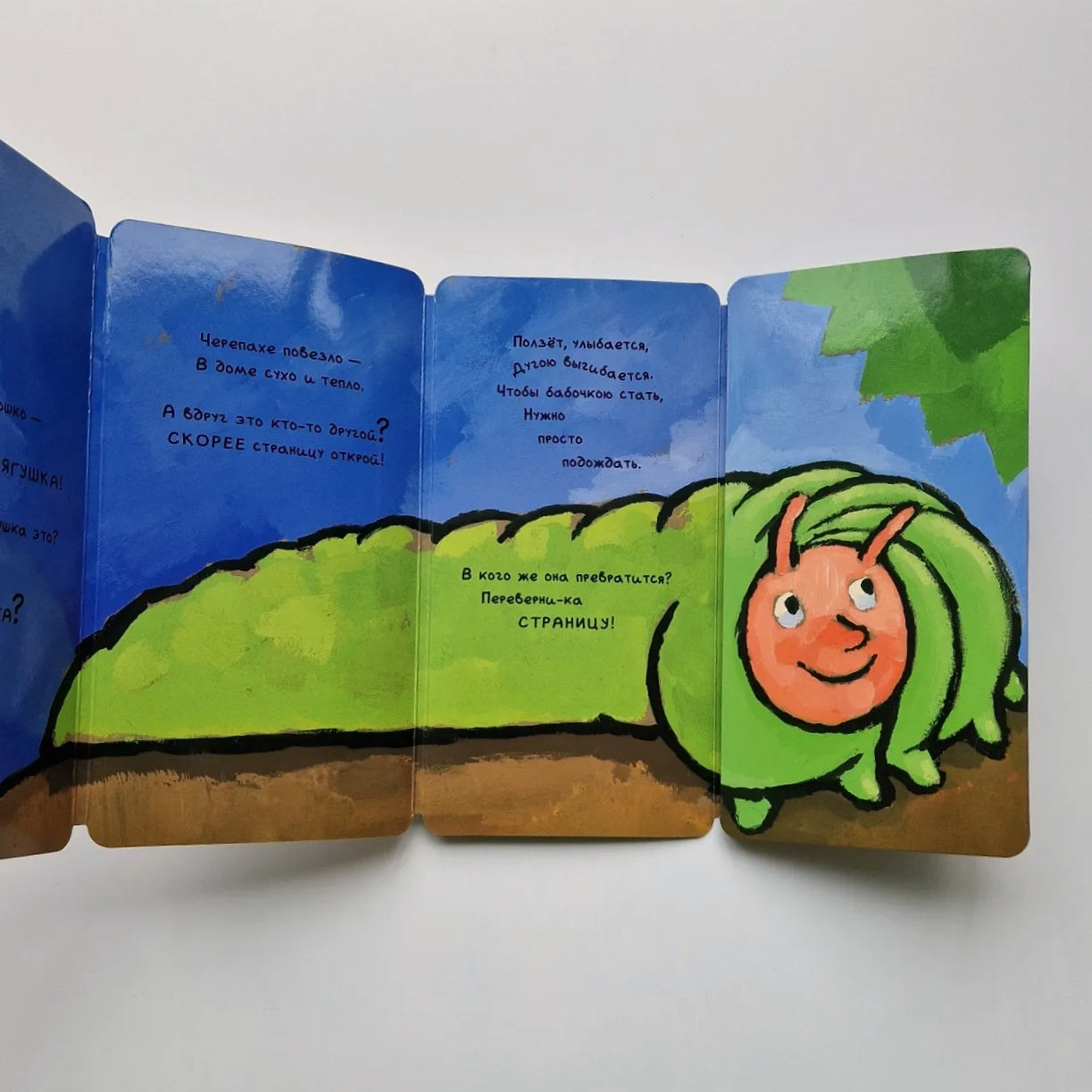 Книга-превращение. Это не... лягушка!