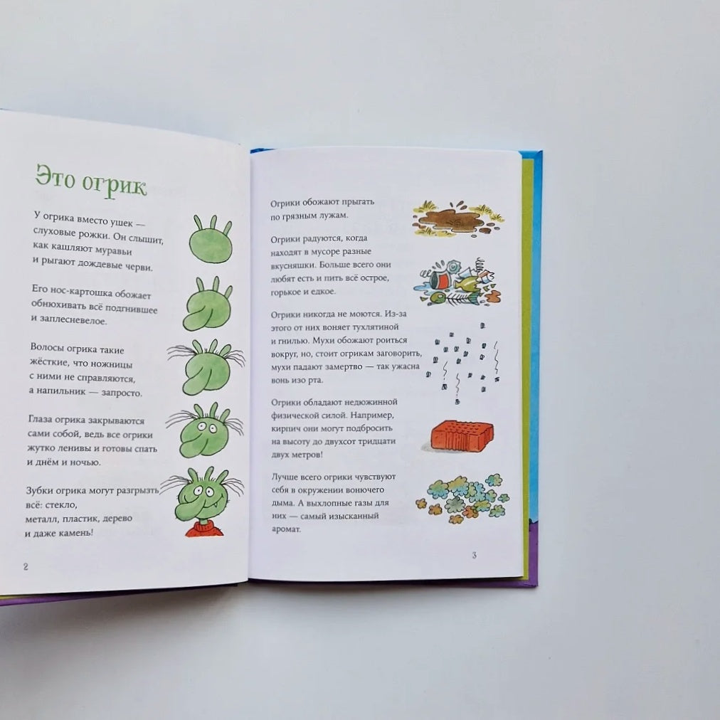 Огрики: Куда хотим, туда летим!