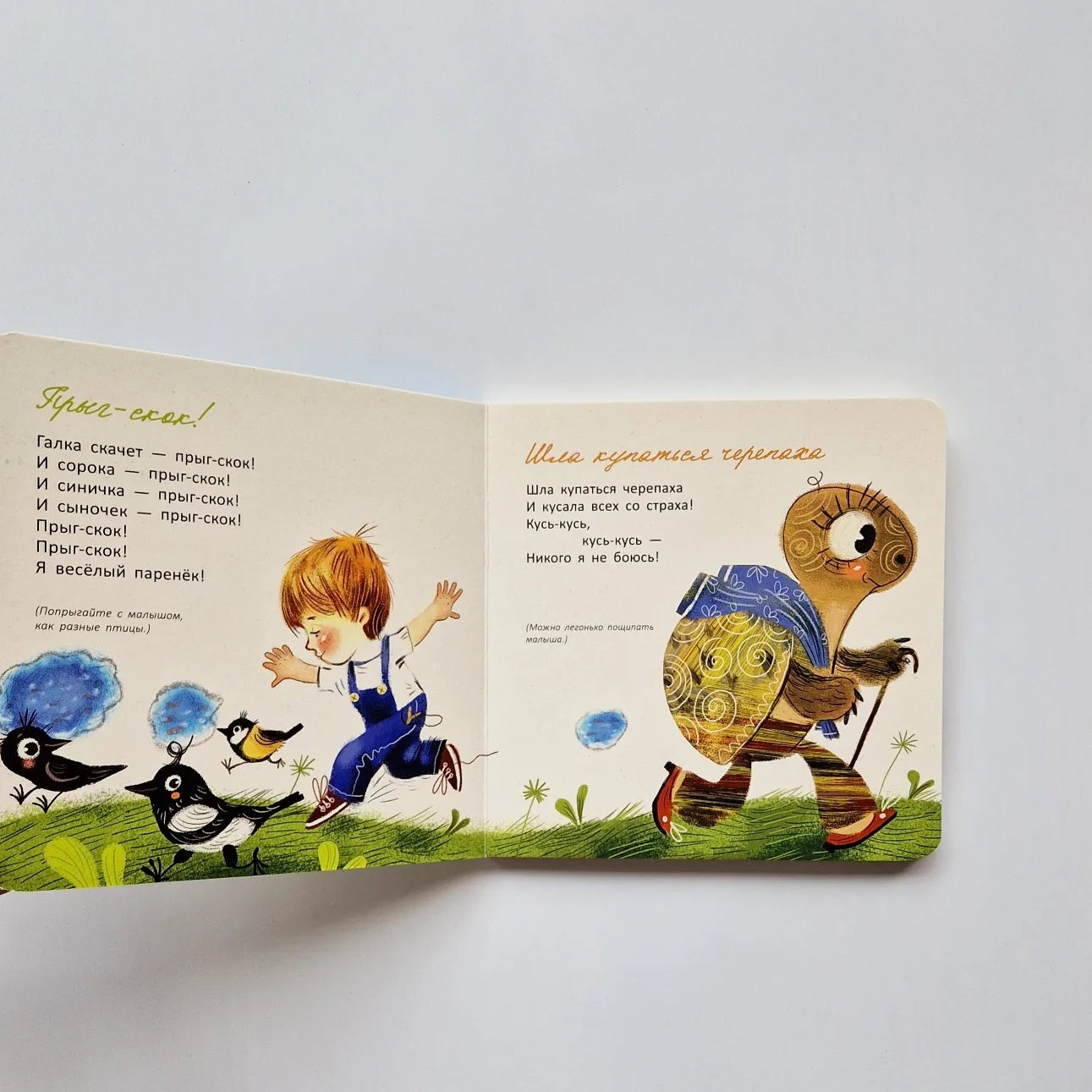 The turtle went for a swim