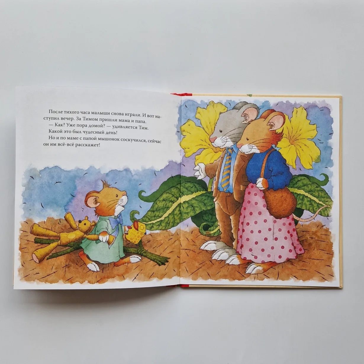 Tim the mouse goes to kindergarten