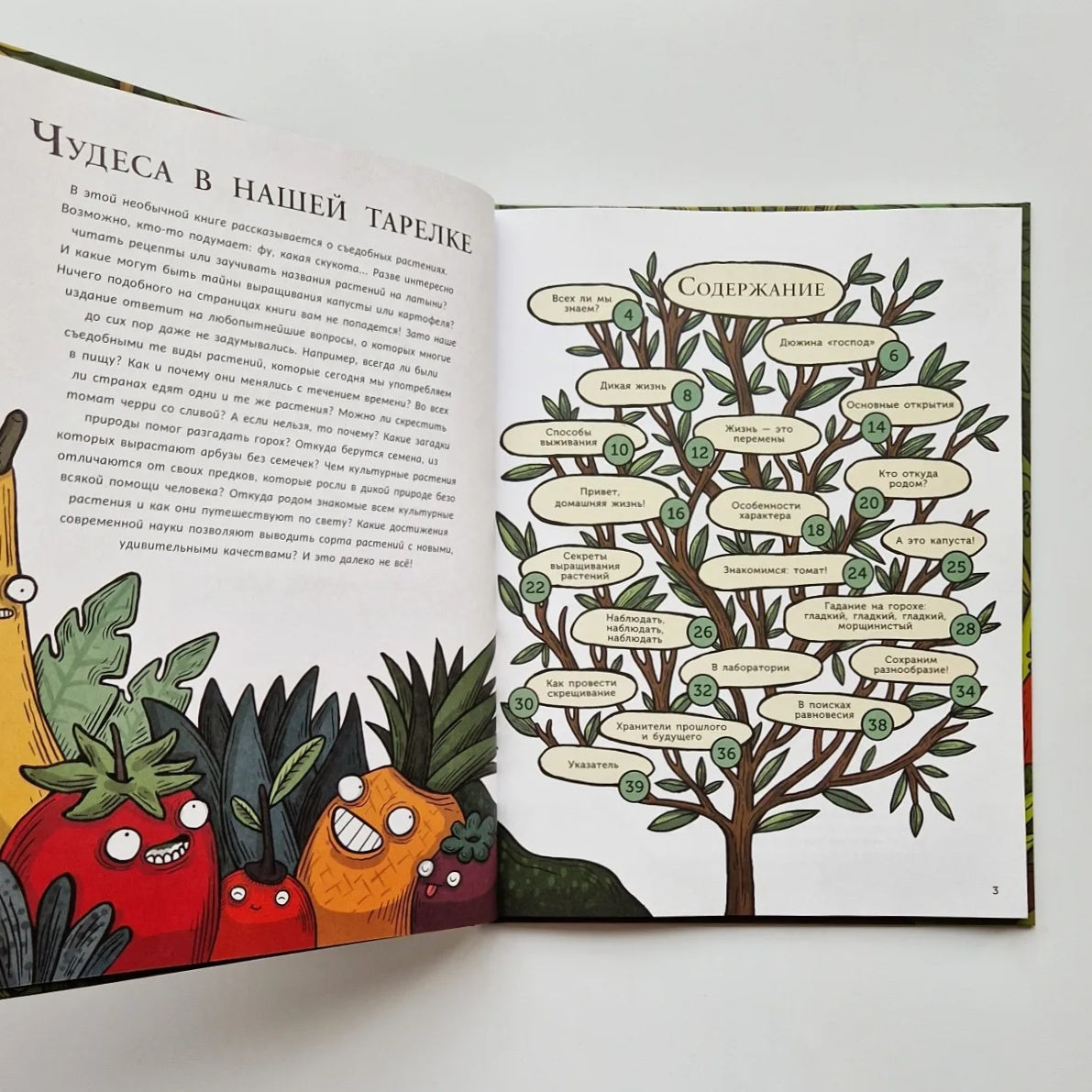 Тайная жизнь съедобных растений. Как приручили кукурузу и томат