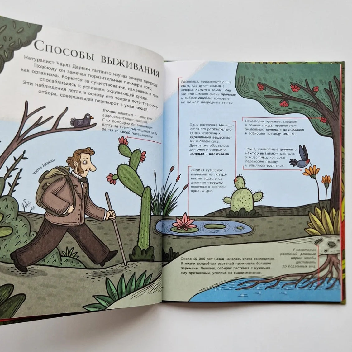 Тайная жизнь съедобных растений. Как приручили кукурузу и томат