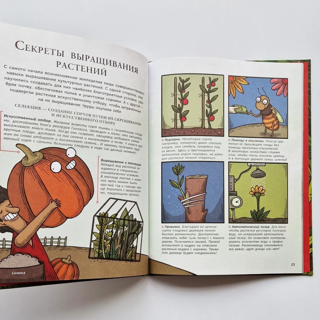 Тайная жизнь съедобных растений. Как приручили кукурузу и томат