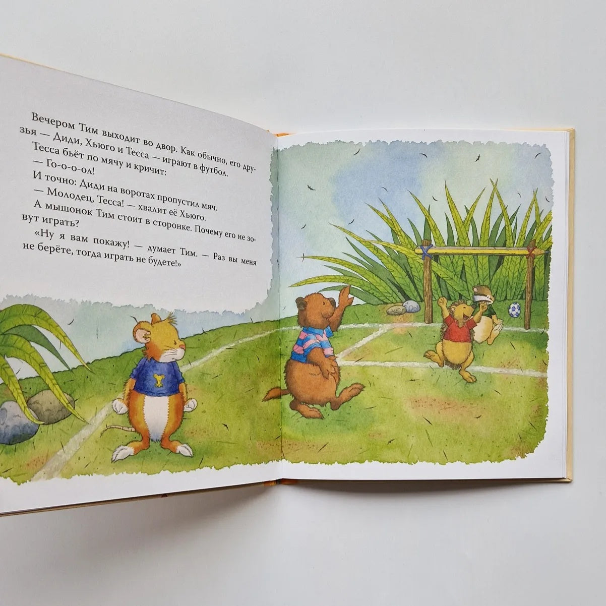 Tim the mouse doesn't want to lose