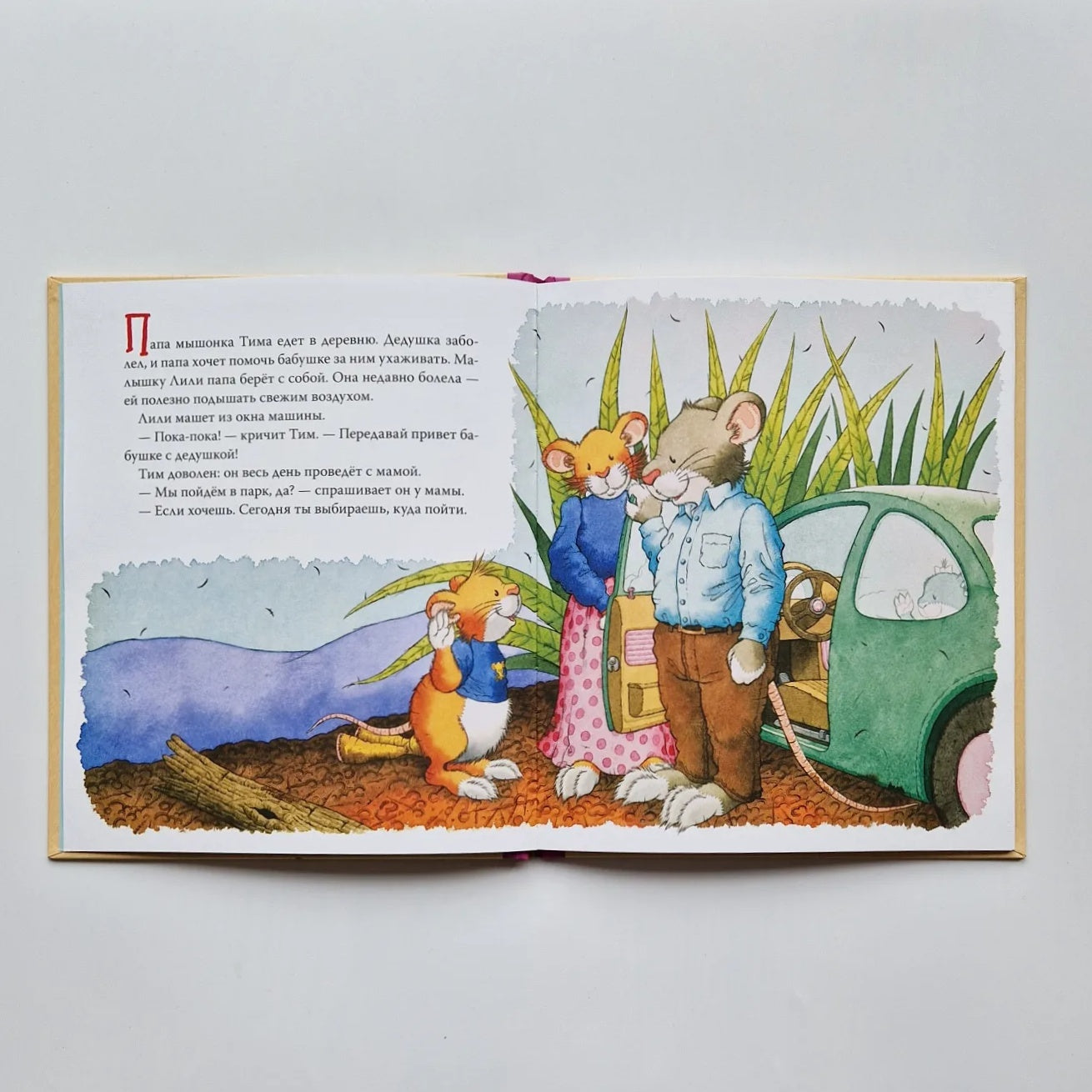 Tim the mouse is afraid to go to the doctor