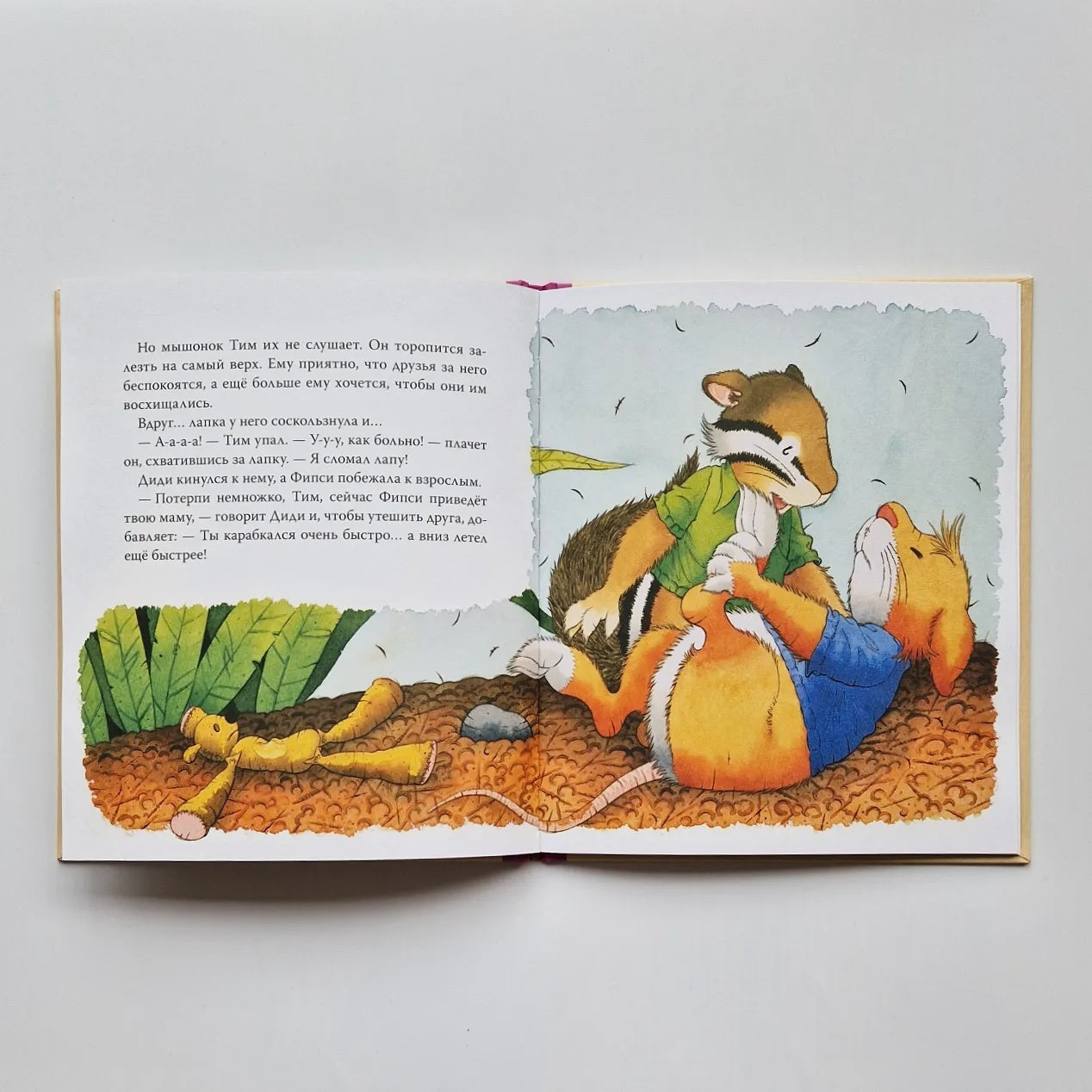 Tim the mouse is afraid to go to the doctor