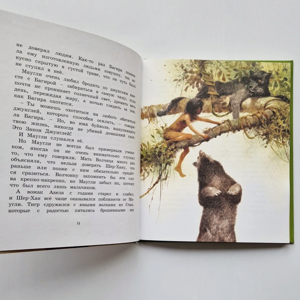 История Маугли