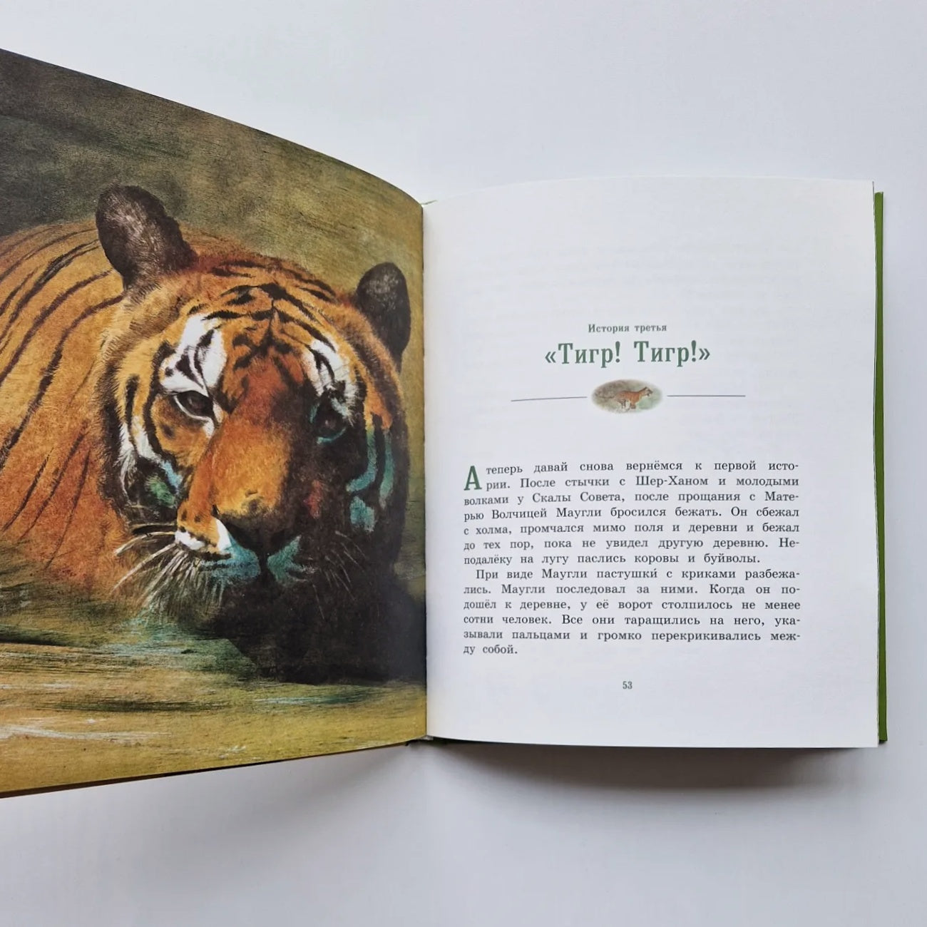 История Маугли