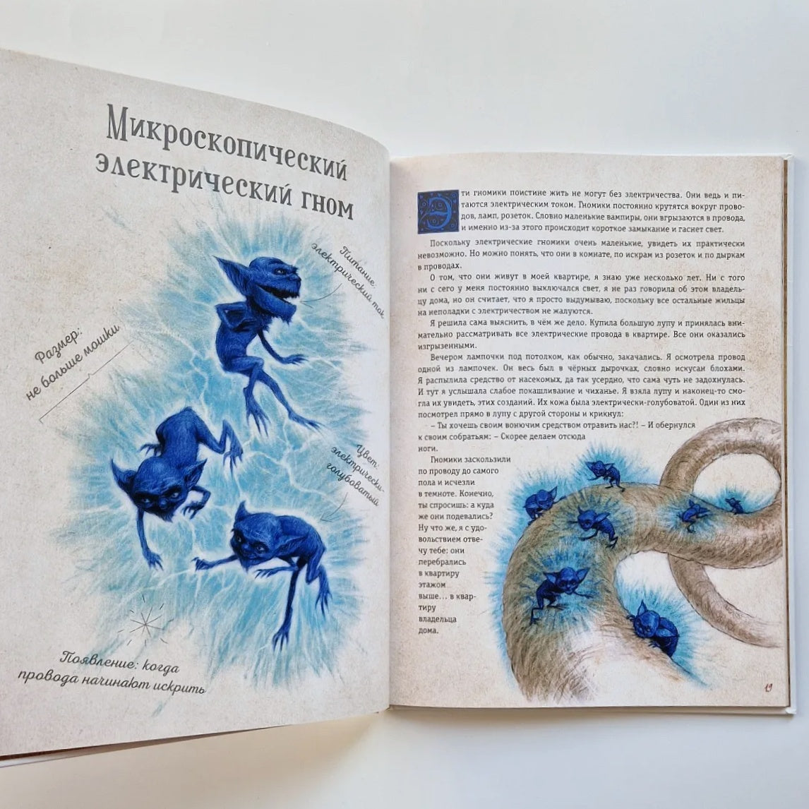 Мистическая энциклопедия крошечных существ