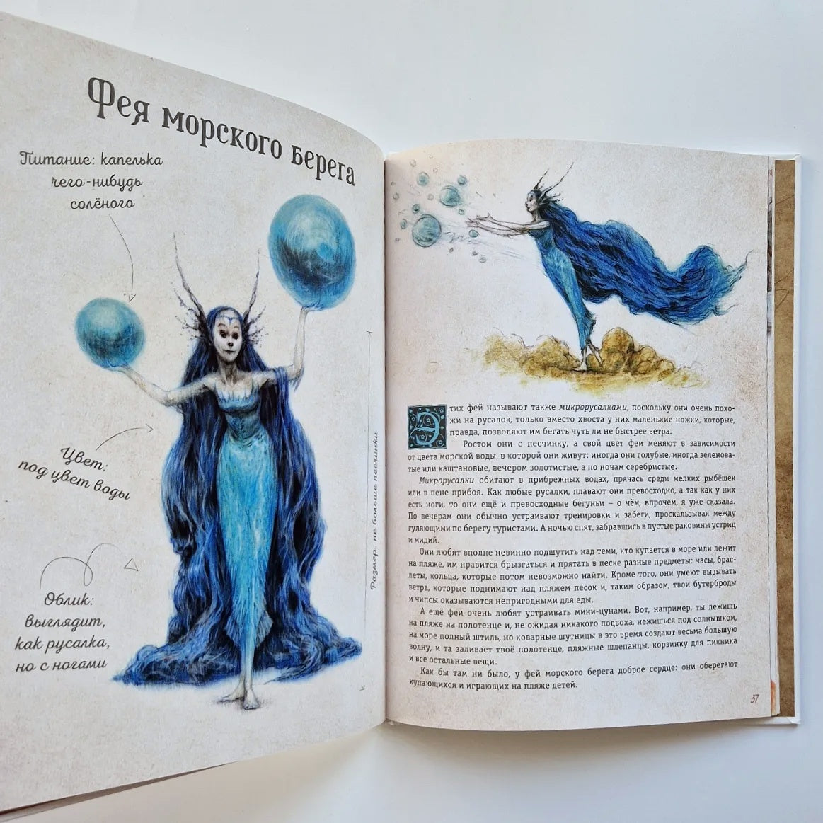 Мистическая энциклопедия крошечных существ