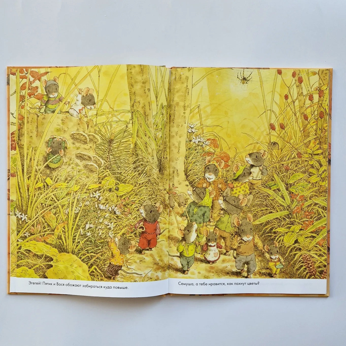 14 лесных мышей. Сладкая картошка