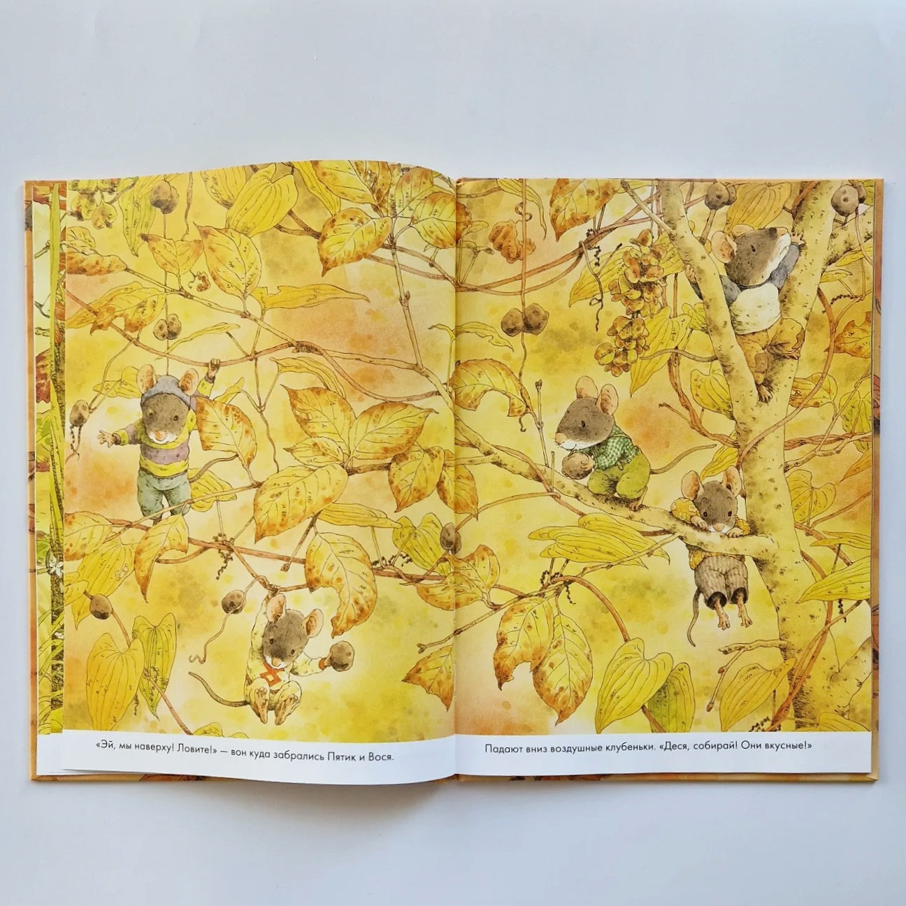 14 лесных мышей. Сладкая картошка