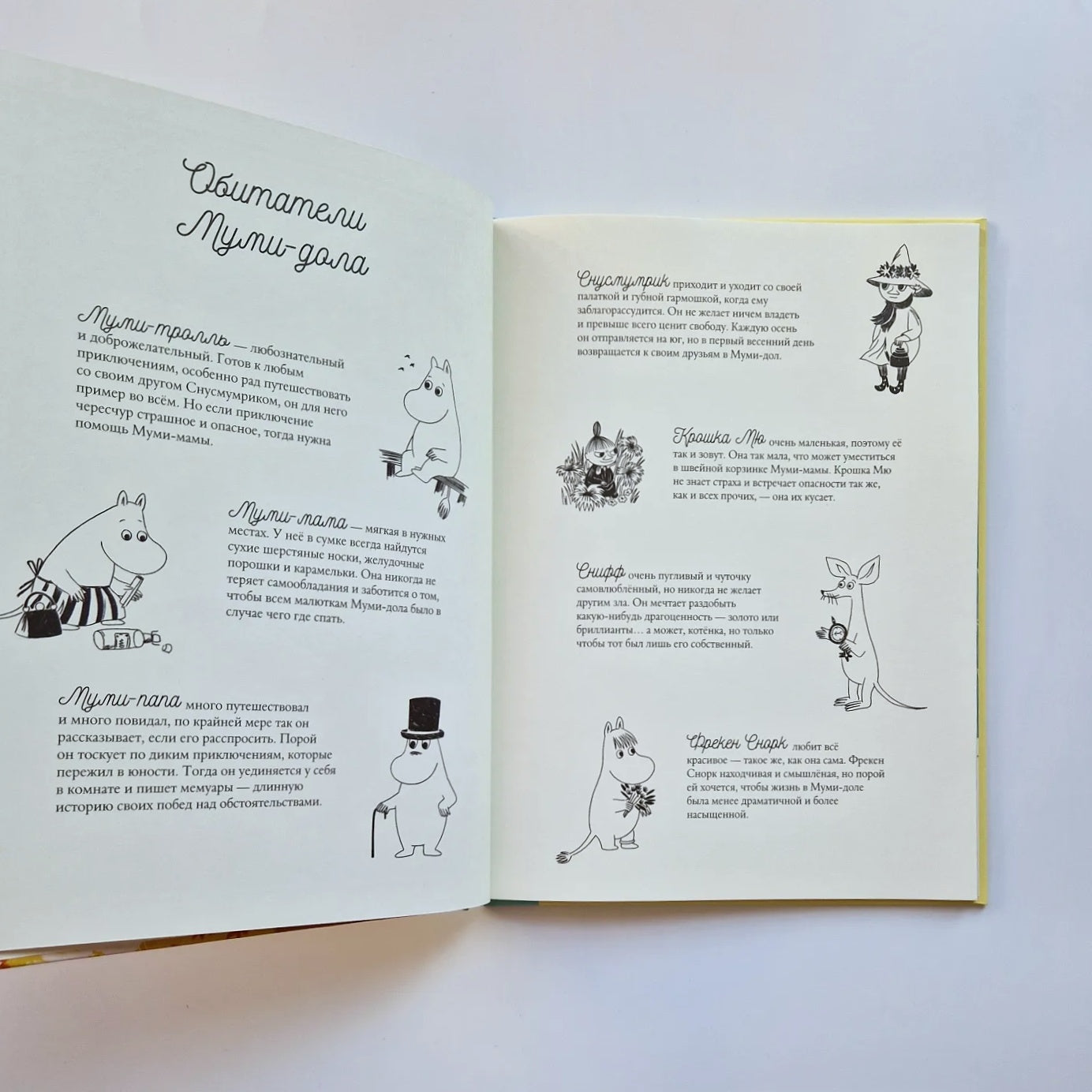 Moomins and the Road to Moominvalley