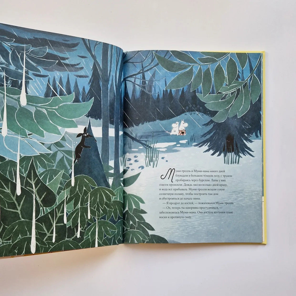 Moomins and the Road to Moominvalley