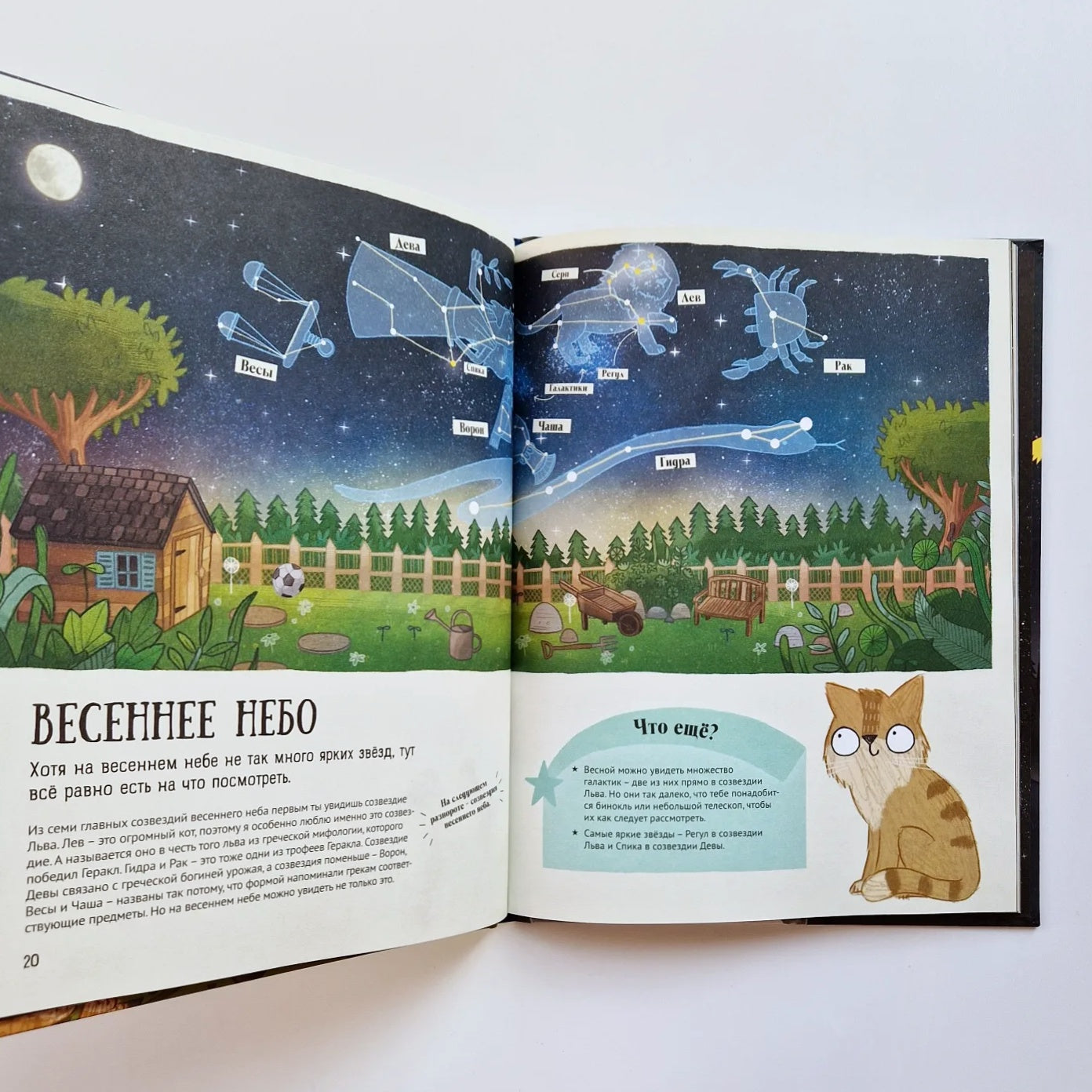 A Guide to the Starry Sky